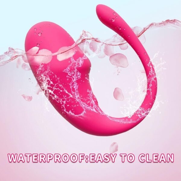 61-LP+Pn8ZL._AC_SL1000_